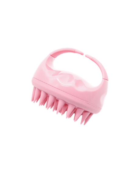 Scalp Brush