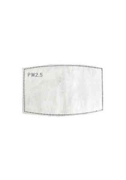 pm25 filter